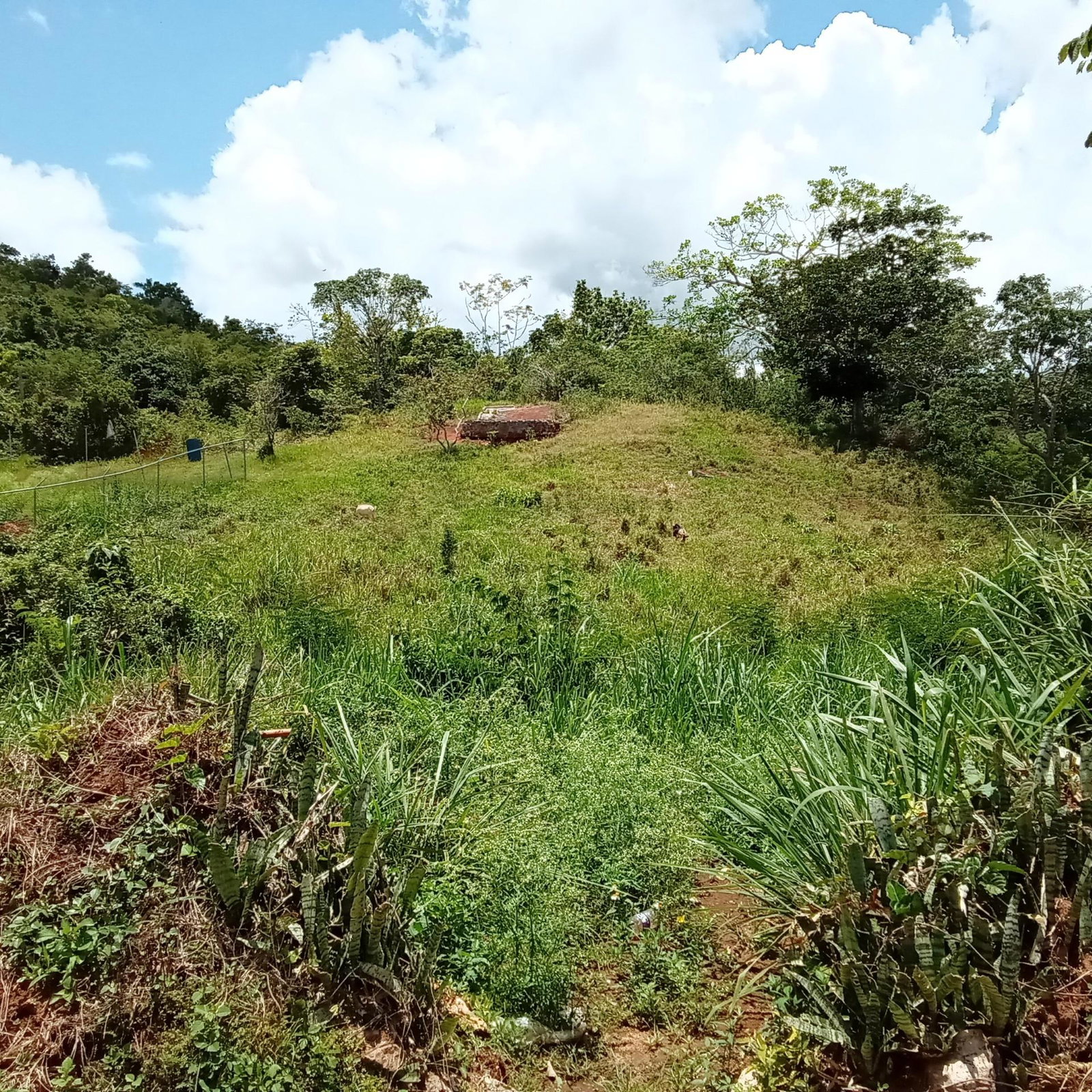 Ninth image of Heathfield, Knockpatrick, in Heathfield, Manchester, Jamaica - property is For Sale