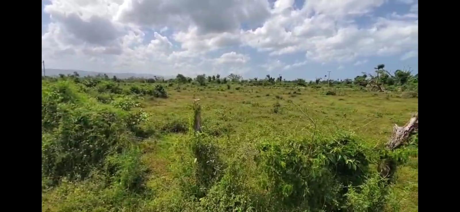 Third image of 23 b Spring Park Meadows in Black River, St. Elizabeth, Jamaica - property is For Sale