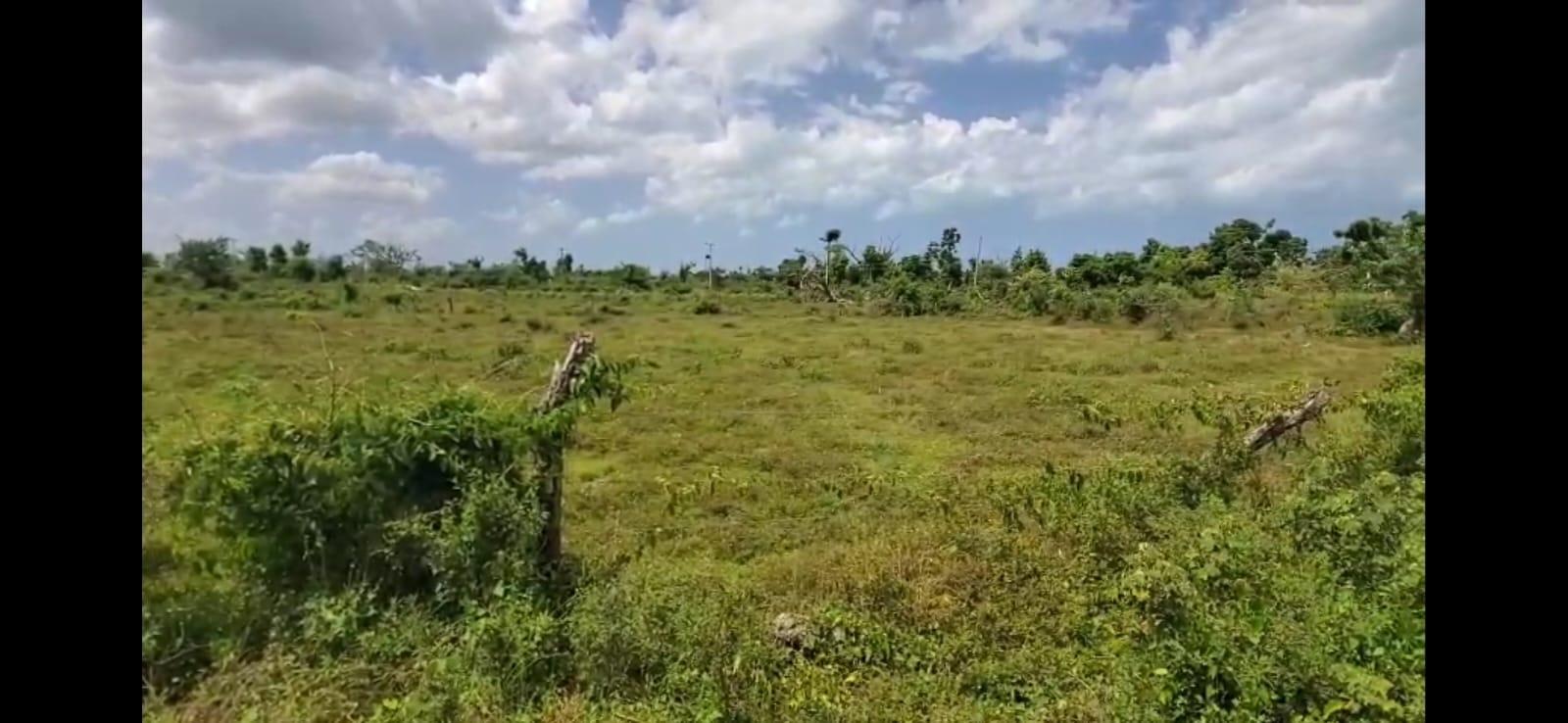 Fourth image of 23 b Spring Park Meadows in Black River, St. Elizabeth, Jamaica - property is For Sale