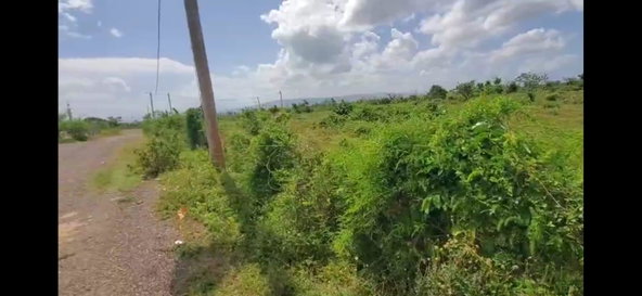 Fifth image of 23 b Spring Park Meadows in Black River, St. Elizabeth, Jamaica - property is For Sale