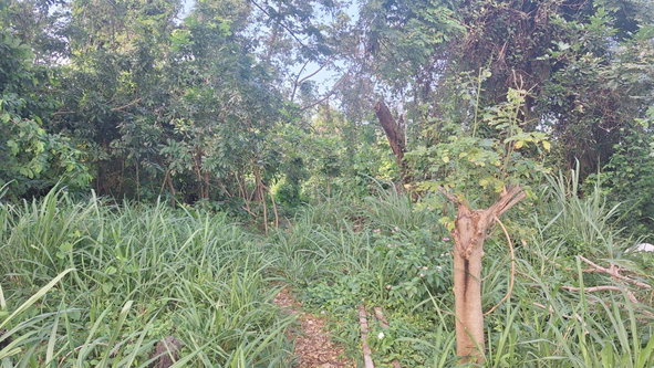 Second image of 18 Caribbean Avenue in Tower Isle, St. Mary, Jamaica - property is For Sale