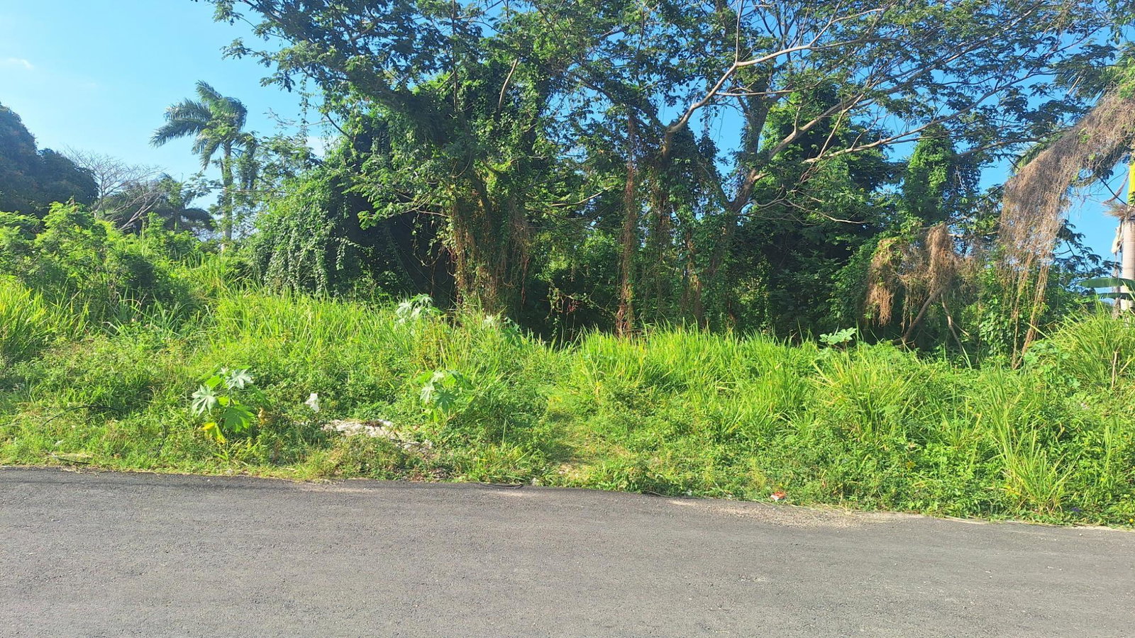 Third image of 18 Caribbean Avenue in Tower Isle, St. Mary, Jamaica - property is For Sale
