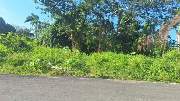 Third image of 18 Caribbean Avenue in Tower Isle, St. Mary, Jamaica - property is For Sale
