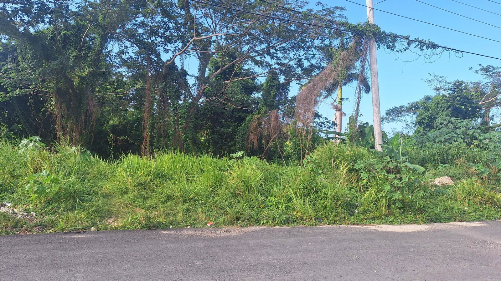 Fourth image of 18 Caribbean Avenue in Tower Isle, St. Mary, Jamaica - property is For Sale