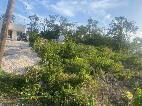 Tenth image of Lot 10 Bonham Spring in Bonham Park, St. Ann, Jamaica - property is For Sale