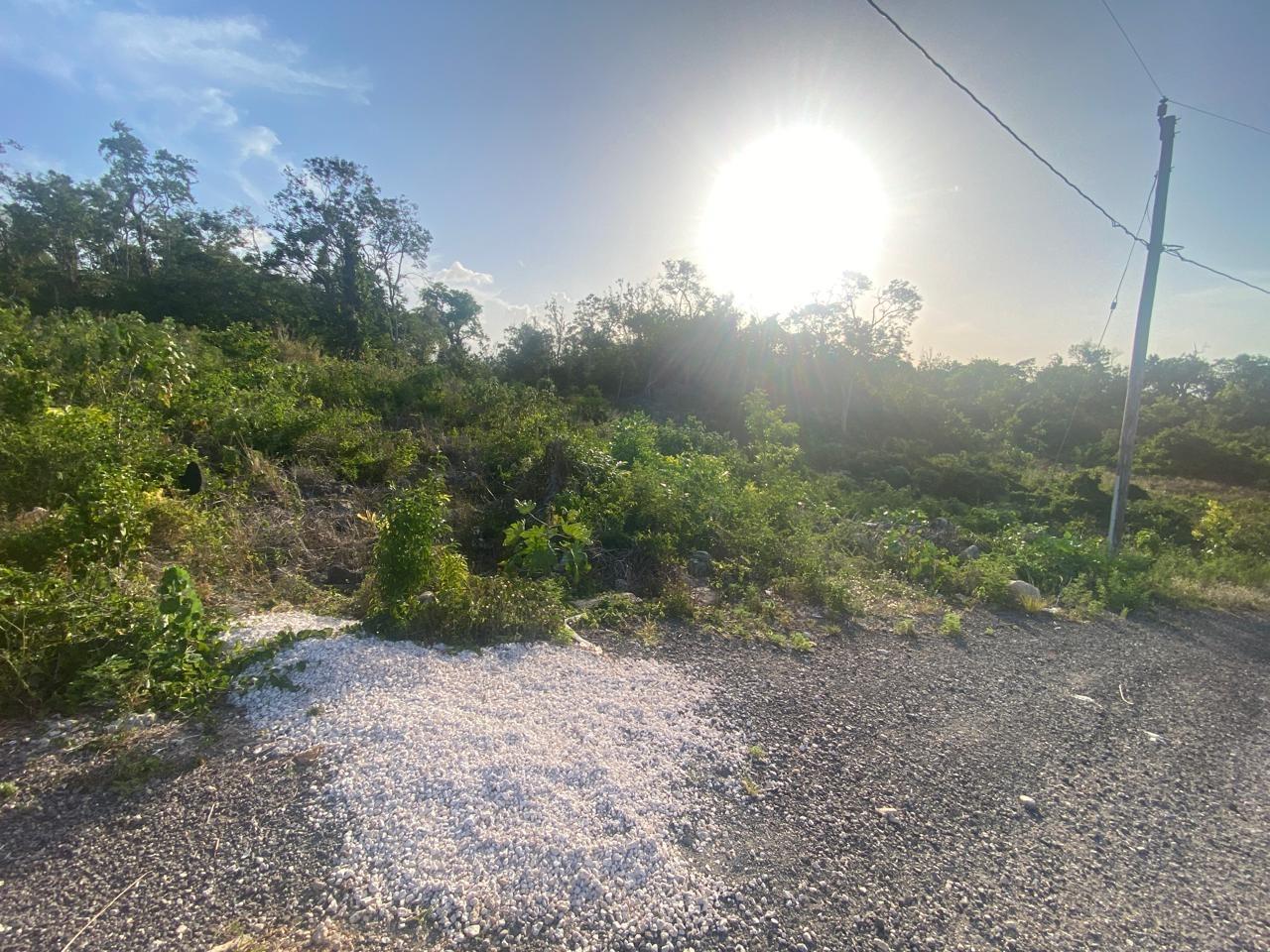 Eleventh image of Lot 10 Bonham Spring in Bonham Park, St. Ann, Jamaica - property is For Sale