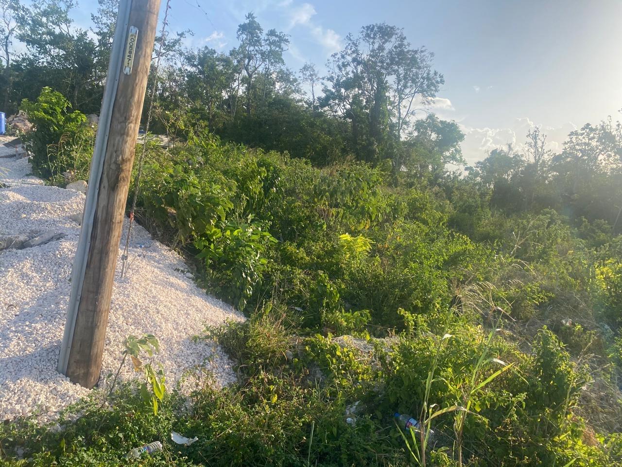 Twelfth image of Lot 10 Bonham Spring in Bonham Park, St. Ann, Jamaica - property is For Sale