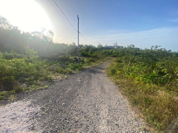 Thirteenth image of Lot 10 Bonham Spring in Bonham Park, St. Ann, Jamaica - property is For Sale