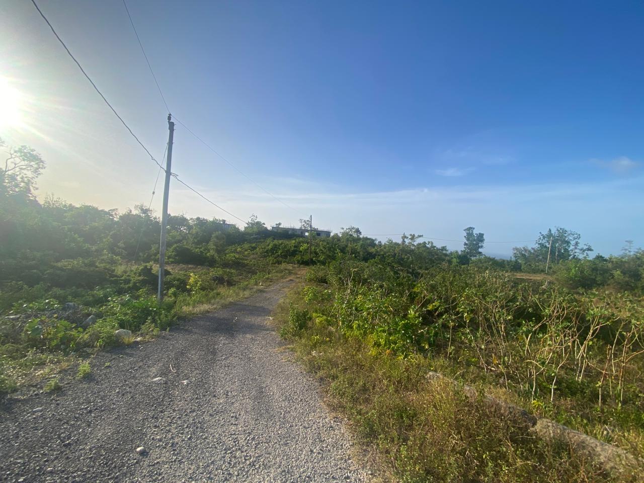 Fourteenth image of Lot 10 Bonham Spring in Bonham Park, St. Ann, Jamaica - property is For Sale