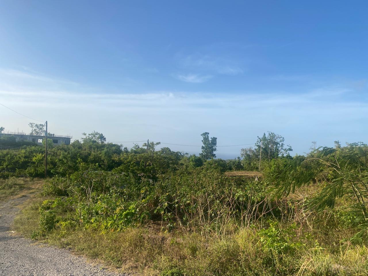 Fifteenth image of Lot 10 Bonham Spring in Bonham Park, St. Ann, Jamaica - property is For Sale