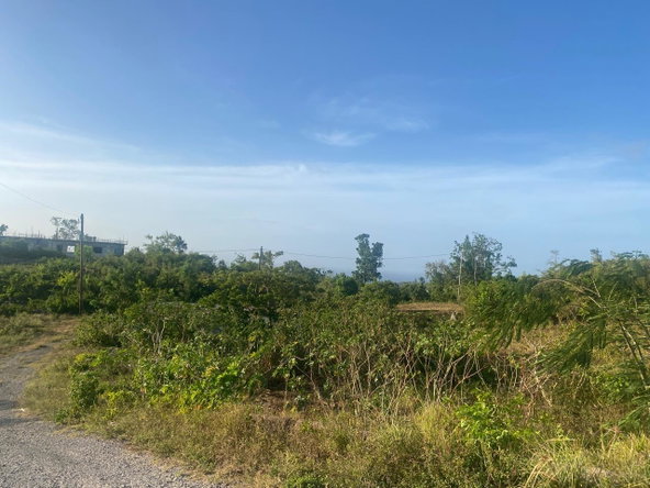 Fifteenth image of Lot 10 Bonham Spring in Bonham Park, St. Ann, Jamaica - property is For Sale
