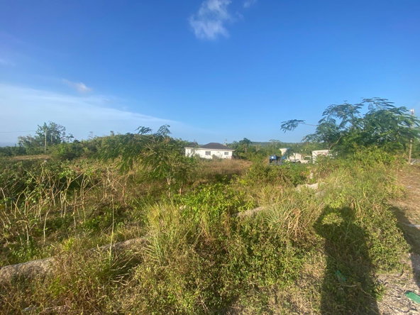 Eighth image of Lot 10 Bonham Spring in Bonham Park, St. Ann, Jamaica - property is For Sale