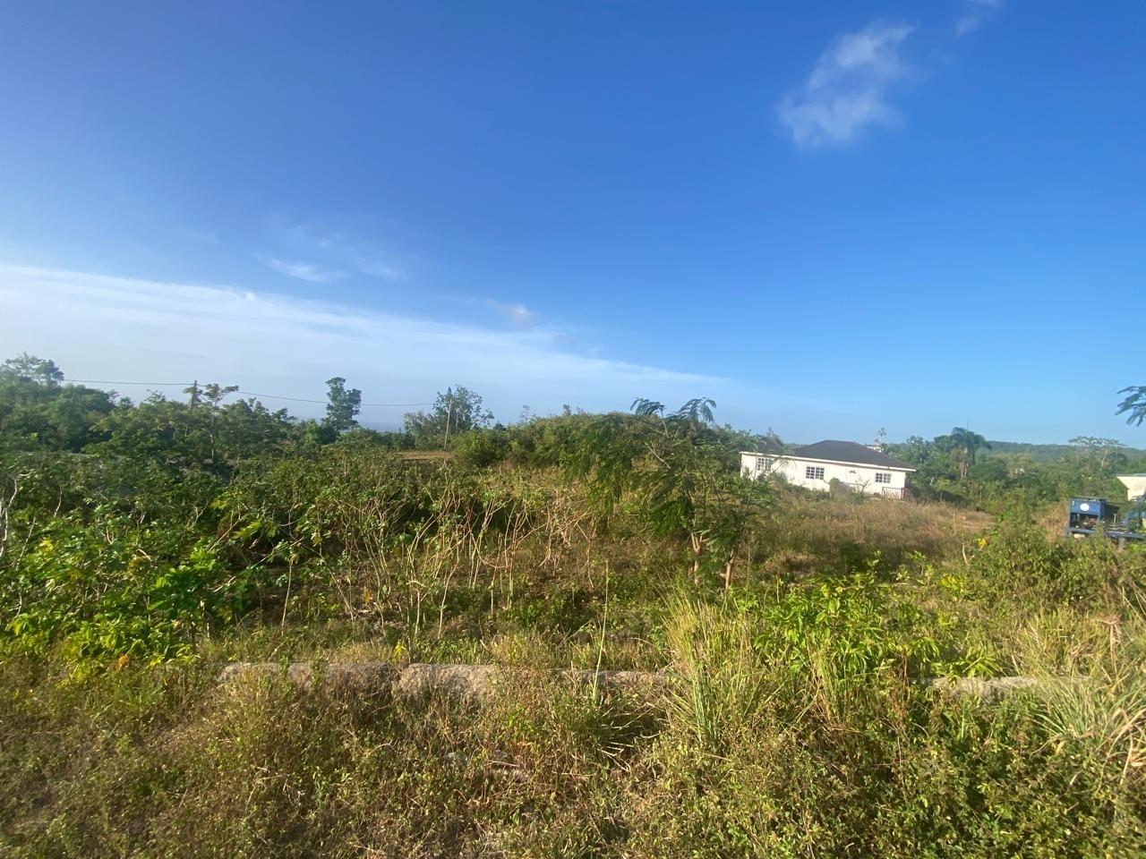 Ninth image of Lot 10 Bonham Spring in Bonham Park, St. Ann, Jamaica - property is For Sale