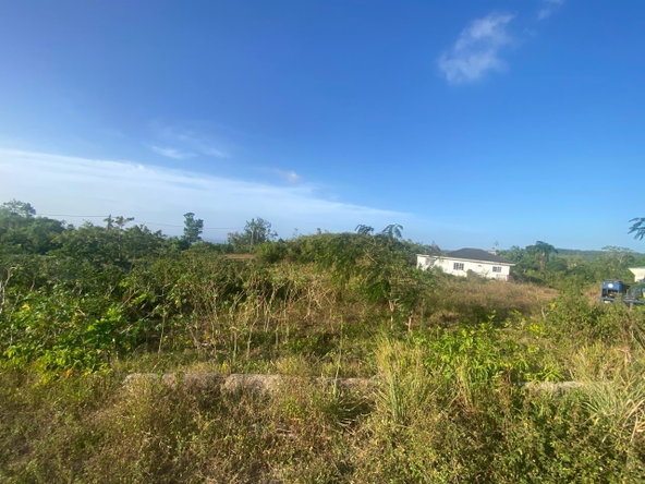 Ninth image of Lot 10 Bonham Spring in Bonham Park, St. Ann, Jamaica - property is For Sale