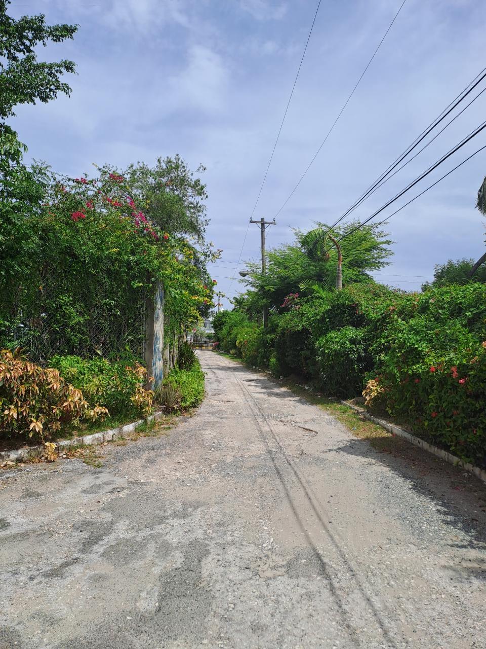 Seventh image of 5-82a Hope Road in Kingston 10, St. Andrew, Jamaica - property is For Rent