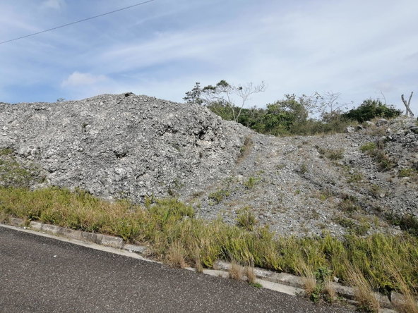 Third image of New Wales, Manachester in New Whales, Manchester, Jamaica - property is For Sale