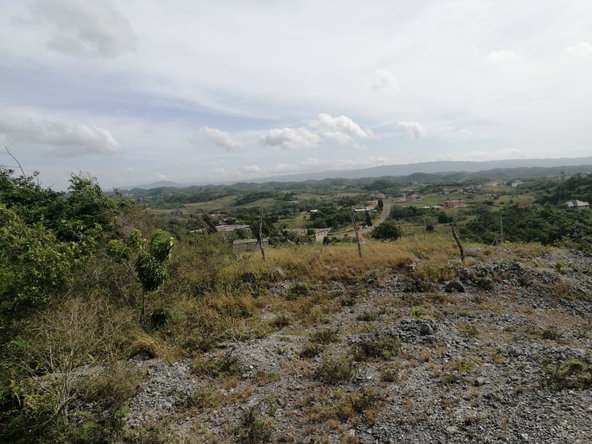 Eighth image of New Wales, Manachester in New Whales, Manchester, Jamaica - property is For Sale