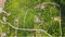 First image of Part of Cardiff Hall Plan in Runaway Bay, St. Ann, Jamaica - property is For Sale