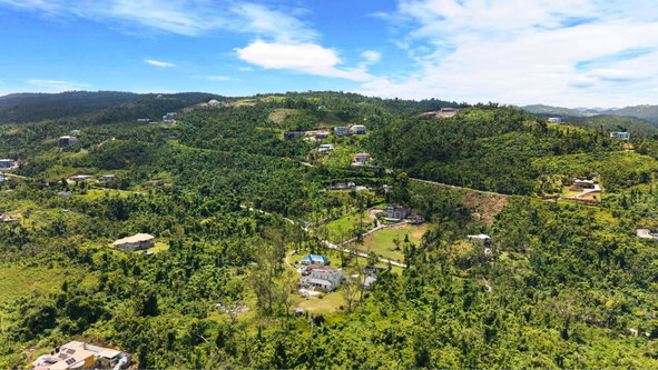 Twelfth image of Part of Cardiff Hall Plan in Runaway Bay, St. Ann, Jamaica - property is For Sale