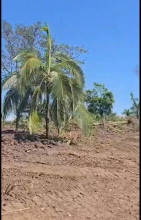 First image of Lot 4- Haughton Court in Haughton Court, Hanover, Jamaica - property is For Sale