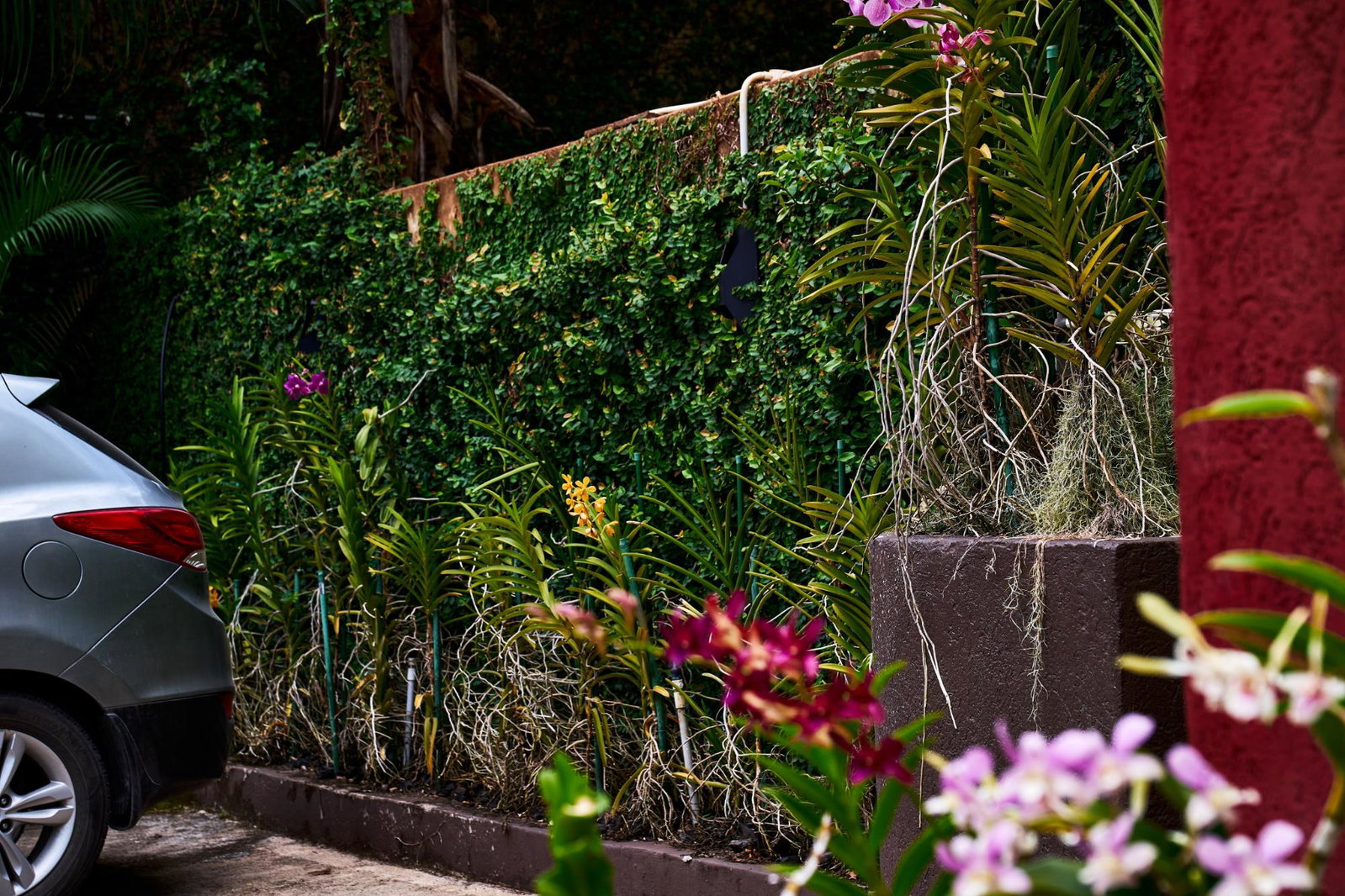 Fifteenth image of 5 Belvedere Road, Forest hi in Kingston 19, St. Andrew, Jamaica - property is For Sale