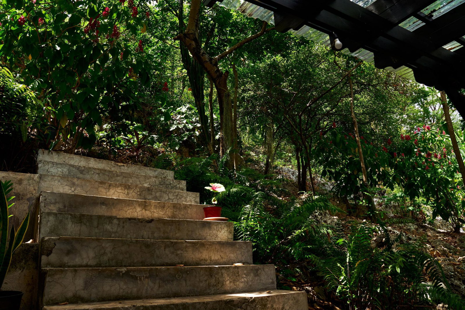 Sixteenth image of 5 Belvedere Road, Forest hi in Kingston 19, St. Andrew, Jamaica - property is For Sale