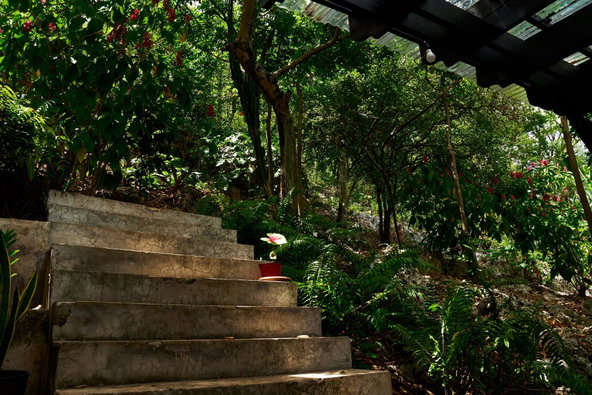 Sixteenth image of 5 Belvedere Road, Forest hi in Kingston 19, St. Andrew, Jamaica - property is For Sale
