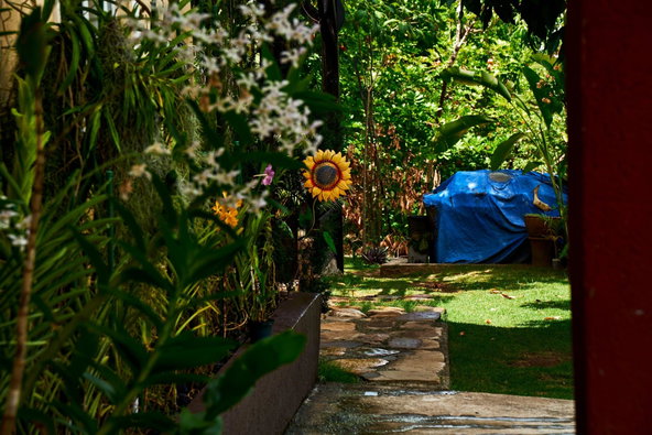 Ninth image of 5 Belvedere Road, Forest hi in Kingston 19, St. Andrew, Jamaica - property is For Sale