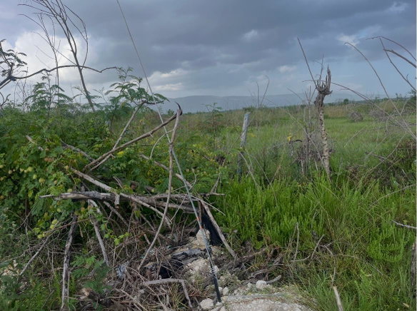 First image of 234 Fullerswood in Black River, St. Elizabeth, Jamaica - property is For Sale