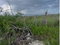 First image of 234 Fullerswood in Black River, St. Elizabeth, Jamaica - property is For Sale