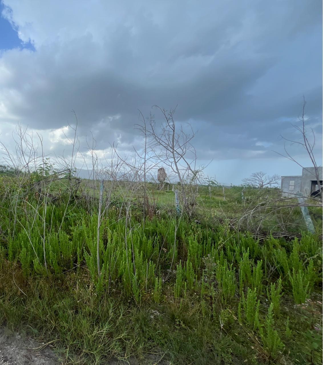 Third image of 234 Fullerswood in Black River, St. Elizabeth, Jamaica - property is For Sale