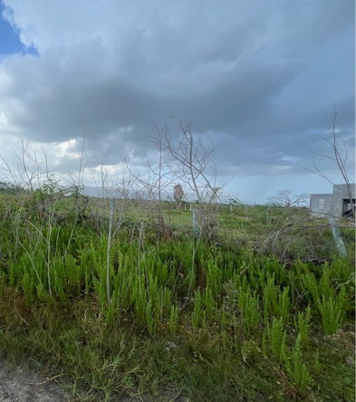 Third image of 234 Fullerswood in Black River, St. Elizabeth, Jamaica - property is For Sale