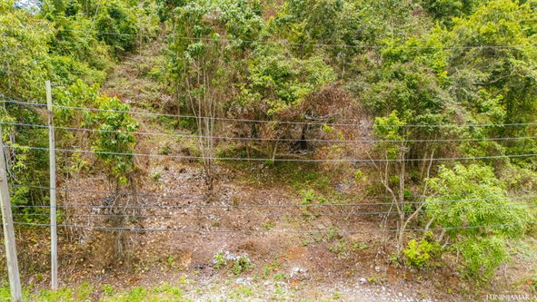 Sixth image of Spathodia Avenue in Mandeville, Manchester, Jamaica - property is For Sale