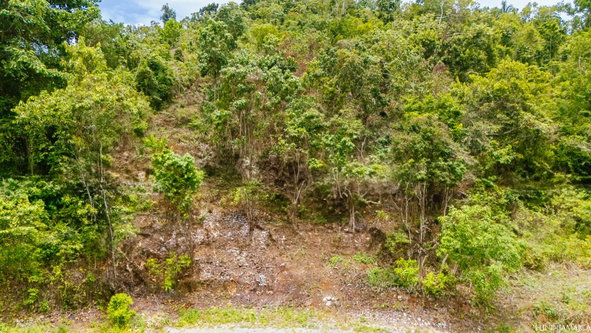 Seventh image of Spathodia Avenue in Mandeville, Manchester, Jamaica - property is For Sale