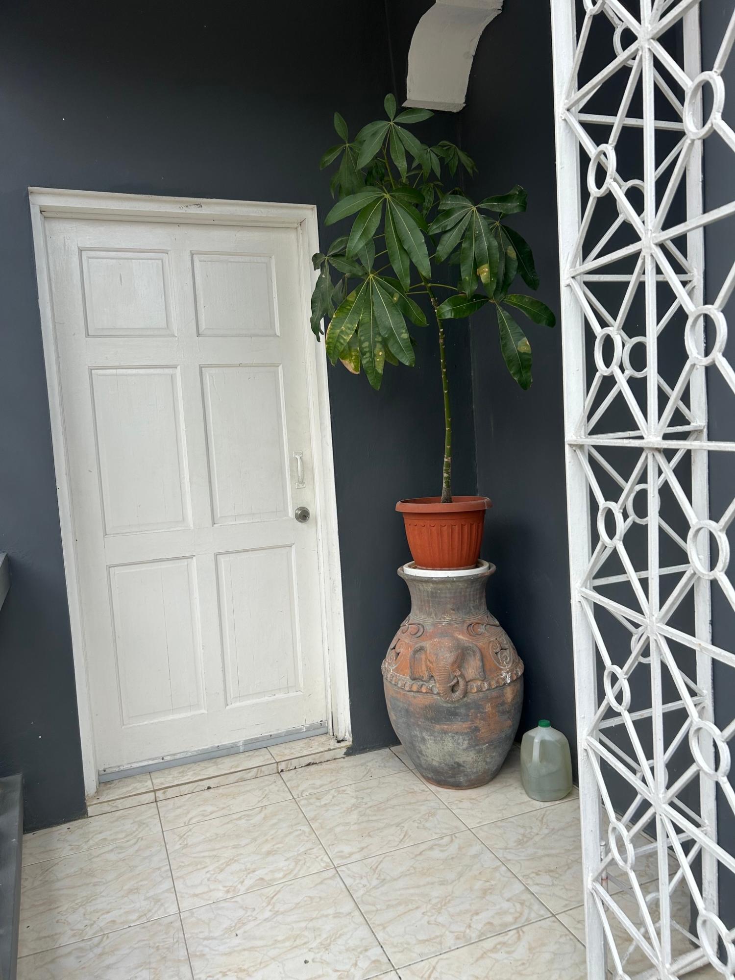 Second image of Apt 2-842 Abalone Circle, Bogue Vil in Bogue, St. James, Jamaica - property is For Rent