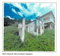First image of Basseterre Close in Cornwall Courts, St. James, Jamaica - property is For Sale