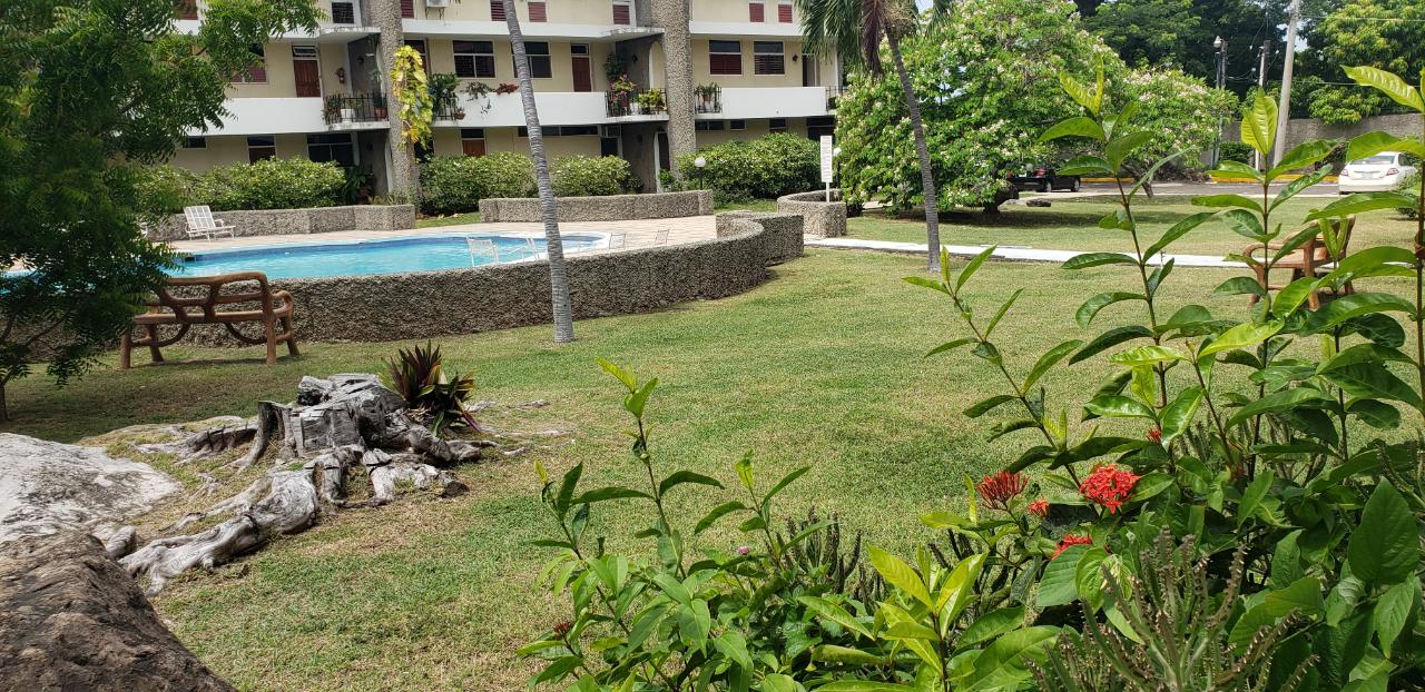 Twenty-Fifth image of A3-65-67 Hope Road in Kingston 6, St. Andrew, Jamaica - property is For Rent