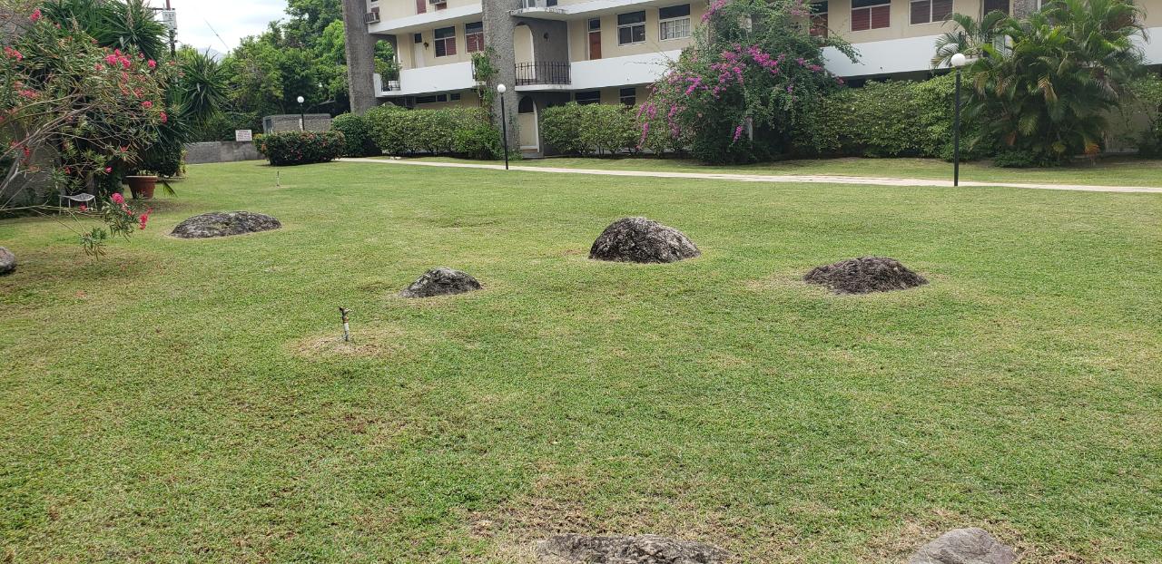 Twenty-Sixth image of A3-65-67 Hope Road in Kingston 6, St. Andrew, Jamaica - property is For Rent