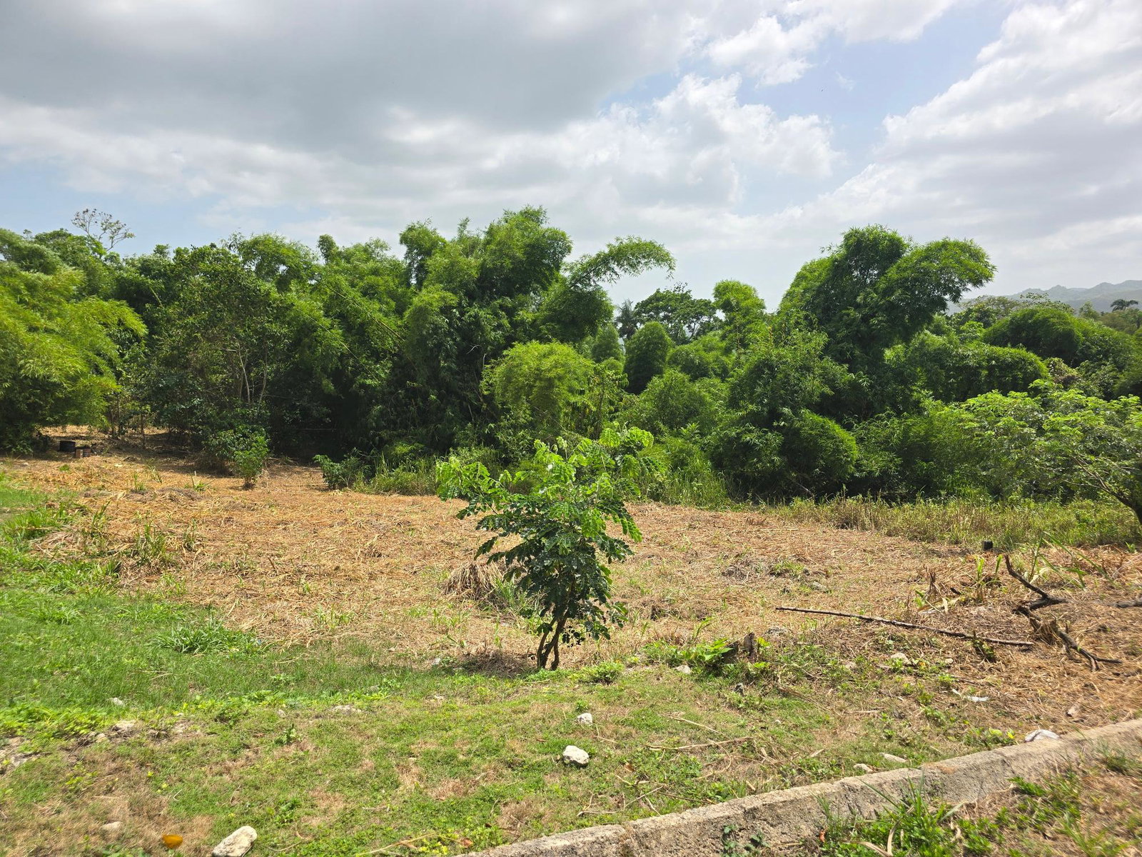 First image of Lot 7 Cambria, Heathfield, Lins in Linstead, St. Catherine, Jamaica - property is For Sale