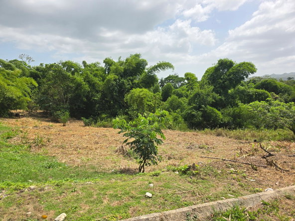 First image of Lot 7 Cambria, Heathfield, Lins in Linstead, St. Catherine, Jamaica - property is For Sale