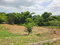 First image of Lot 7 Cambria, Heathfield, Lins in Linstead, St. Catherine, Jamaica - property is For Sale