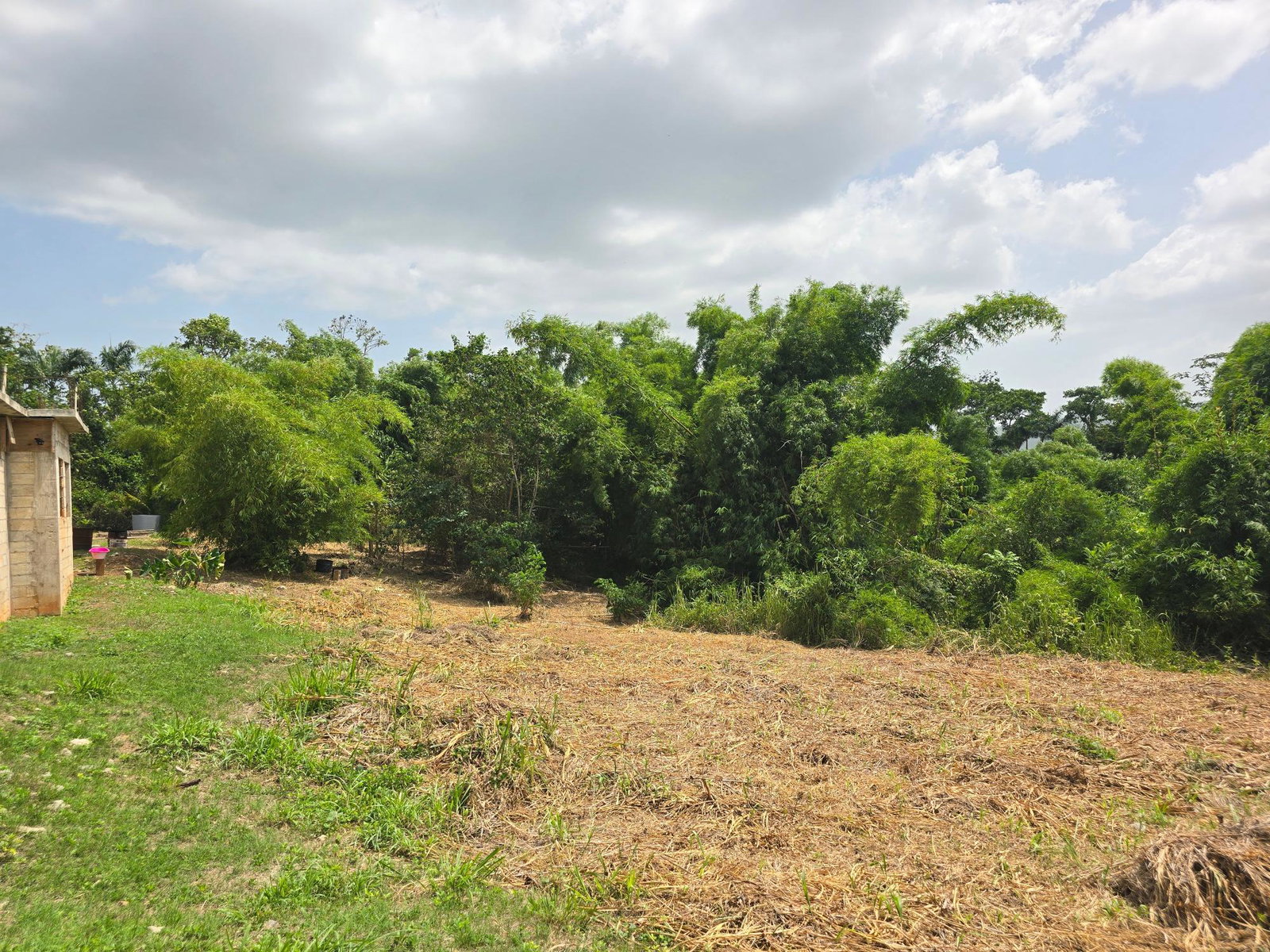 Third image of Lot 7 Cambria, Heathfield, Lins in Linstead, St. Catherine, Jamaica - property is For Sale