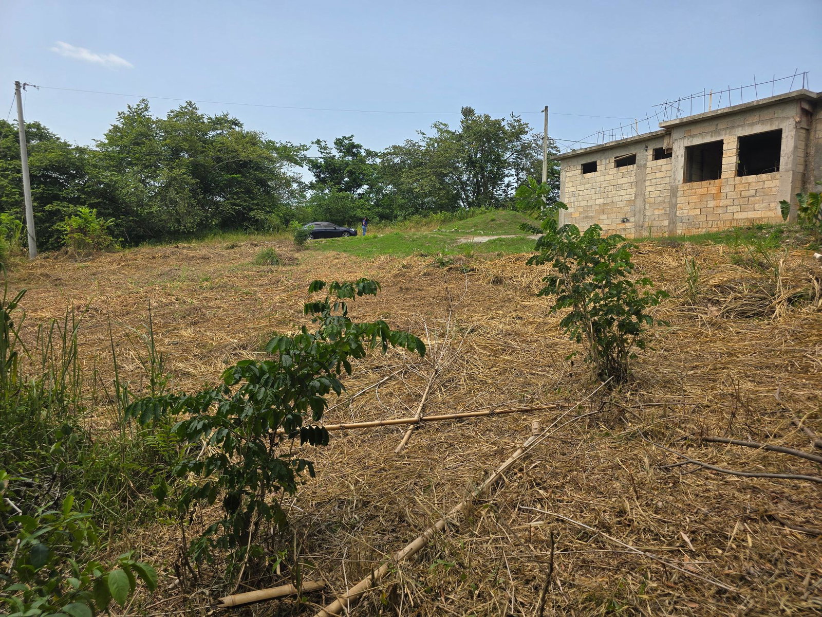 Fourth image of Lot 7 Cambria, Heathfield, Lins in Linstead, St. Catherine, Jamaica - property is For Sale