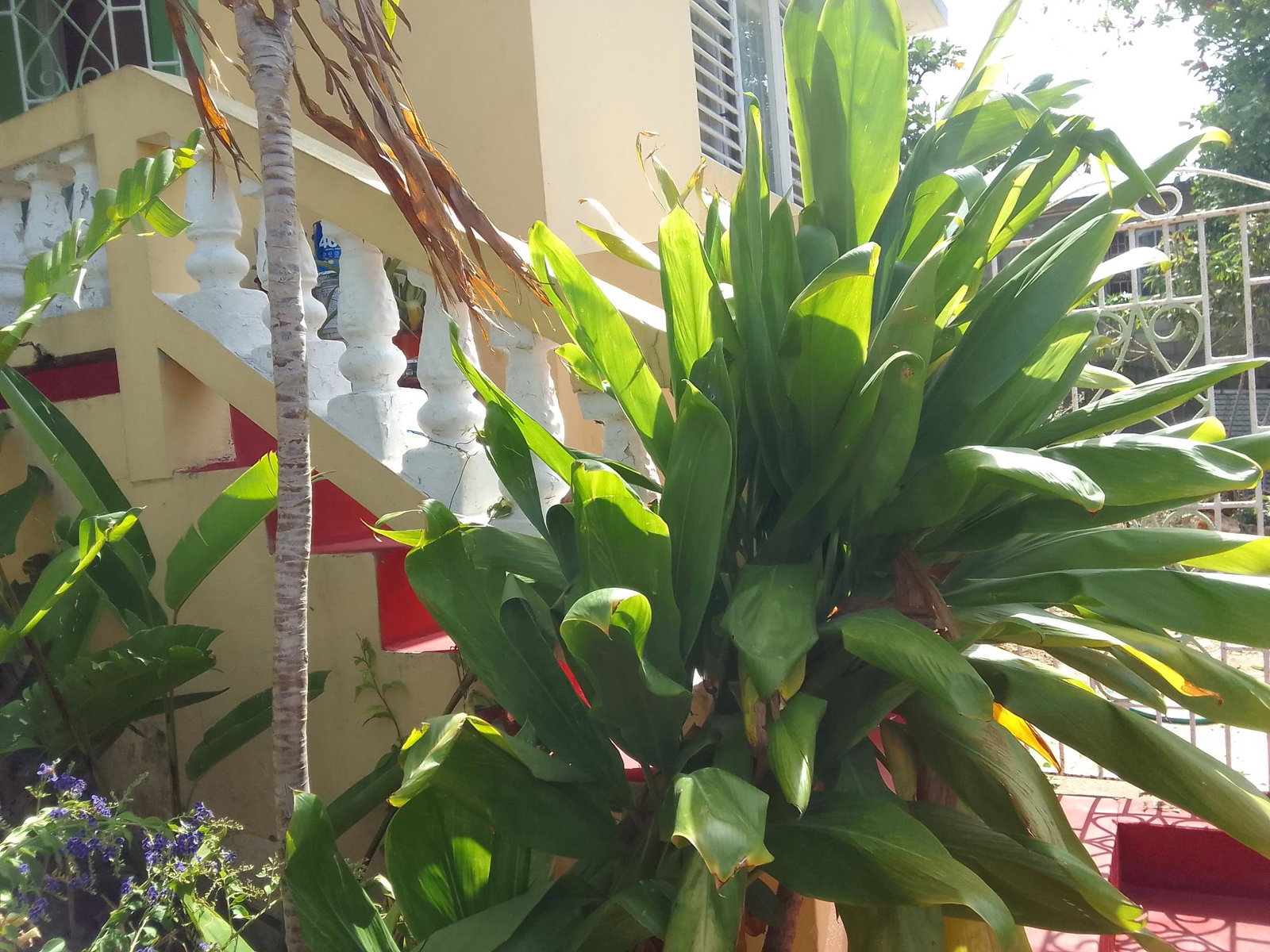 Eighteenth image of 287 Norwood Pen in Montego Bay, St. James, Jamaica - property is For Sale