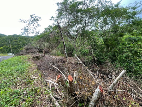 Tenth image of 20 Woodland Heights in Red Hills, St. Andrew, Jamaica - property is For Sale