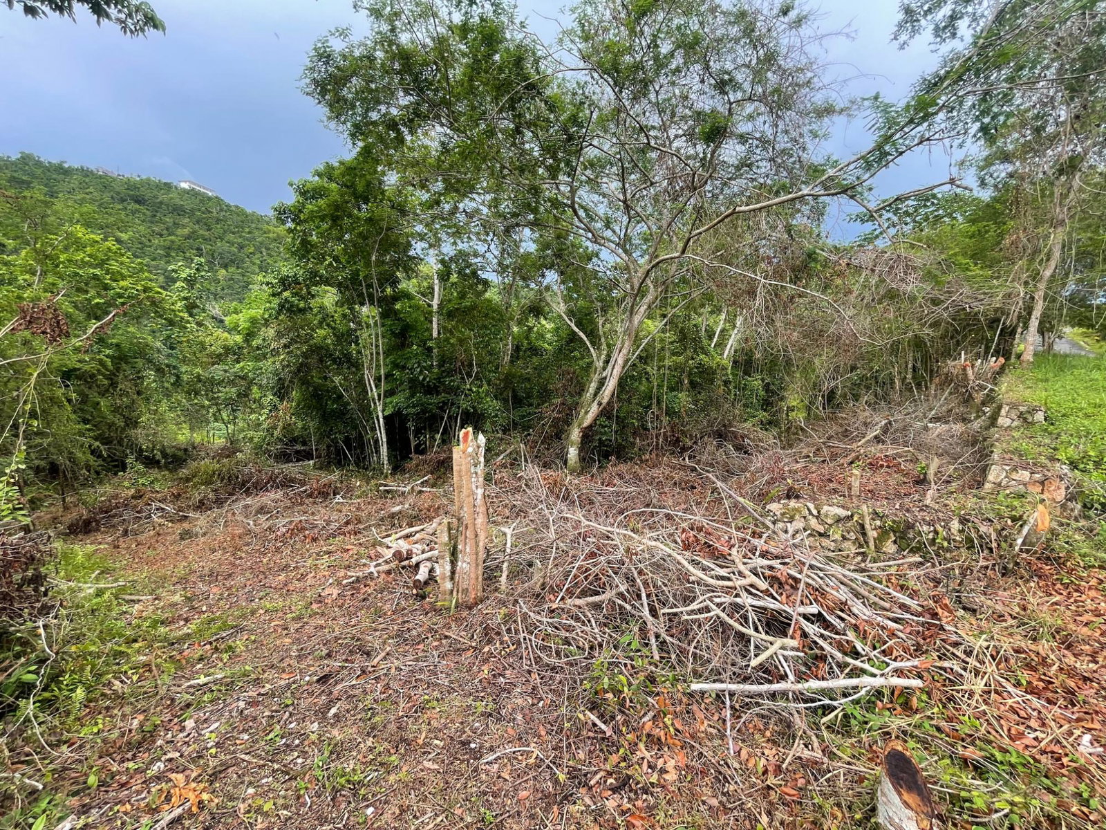 Eleventh image of 20 Woodland Heights in Red Hills, St. Andrew, Jamaica - property is For Sale