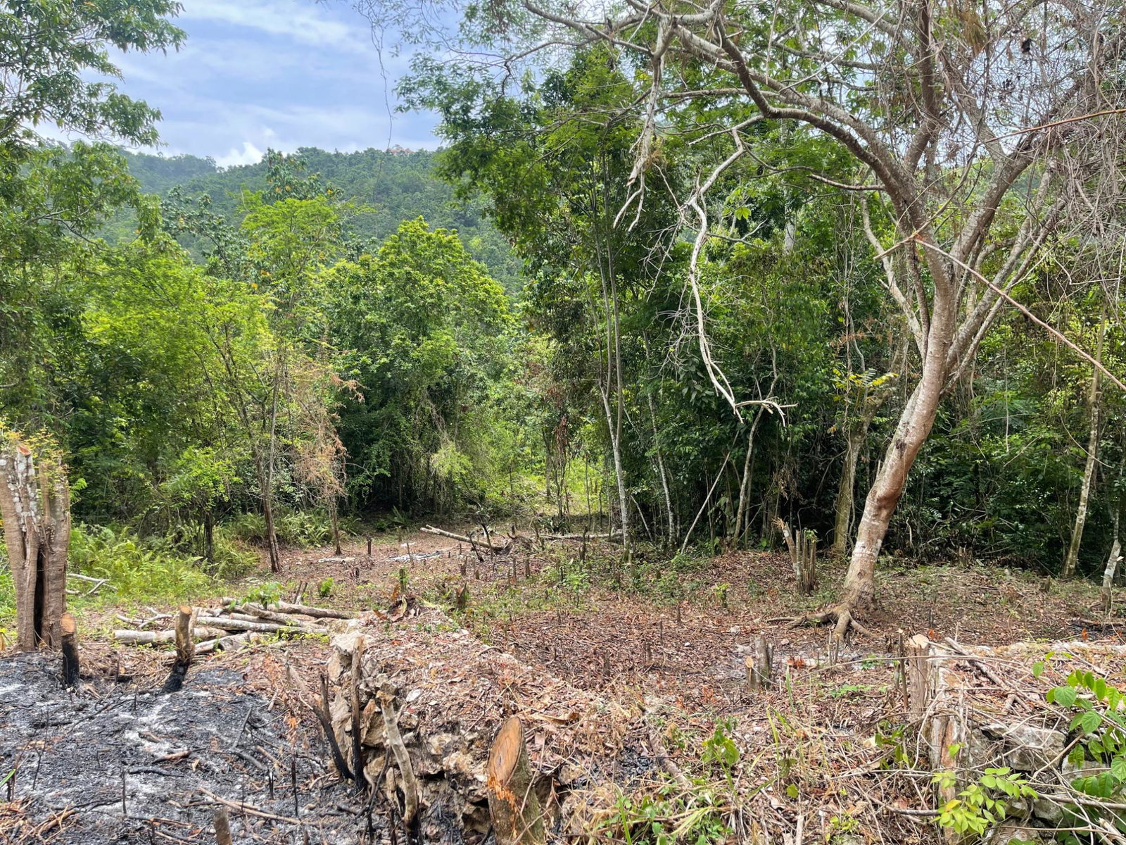Thirteenth image of 20 Woodland Heights in Red Hills, St. Andrew, Jamaica - property is For Sale
