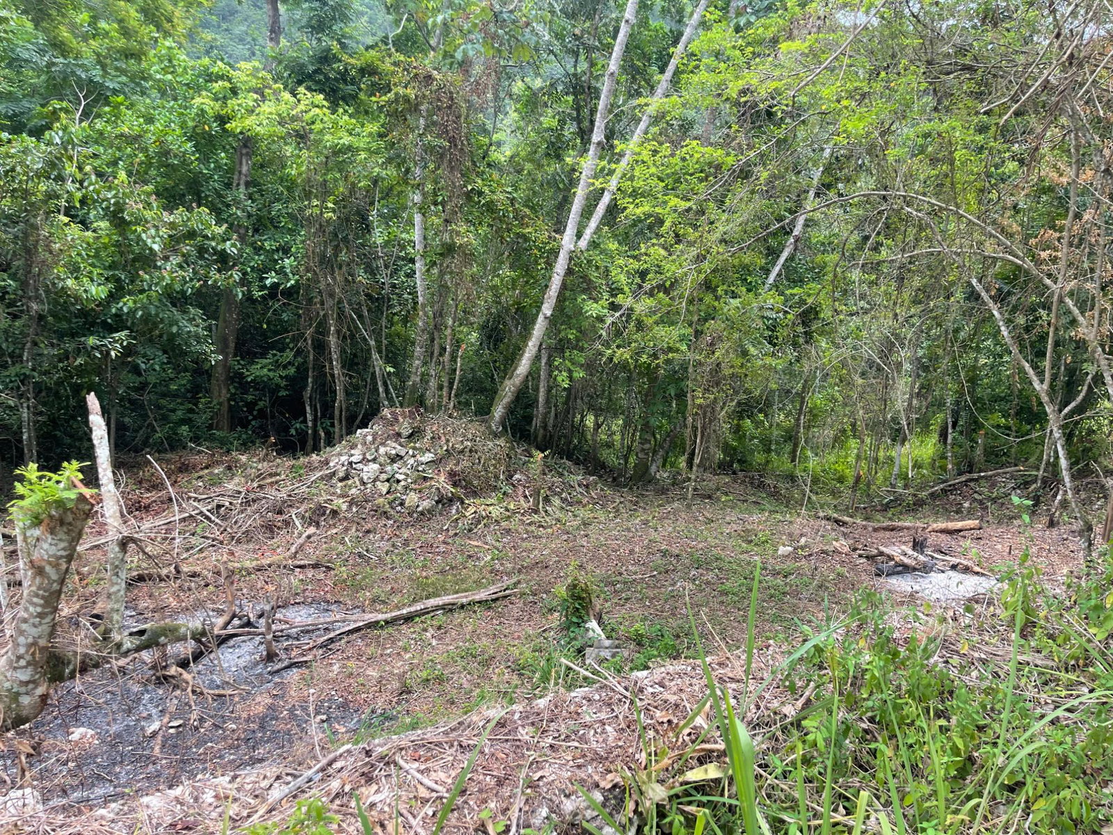 Fourteenth image of 20 Woodland Heights in Red Hills, St. Andrew, Jamaica - property is For Sale
