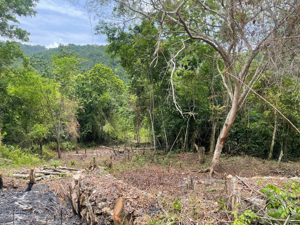 Fifteenth image of 20 Woodland Heights in Red Hills, St. Andrew, Jamaica - property is For Sale