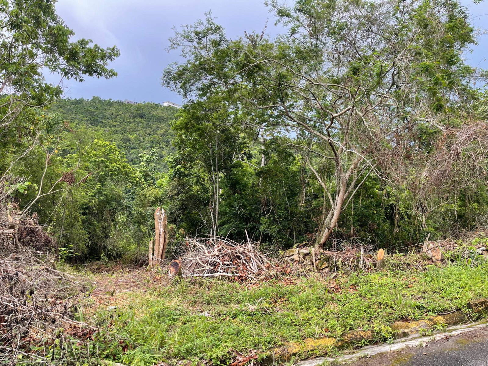 Fourth image of 20 Woodland Heights in Red Hills, St. Andrew, Jamaica - property is For Sale